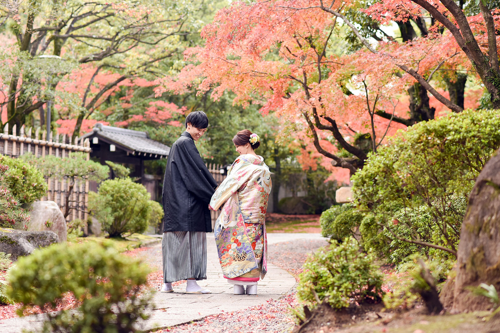 TOPページ | スタジオフィール株式会社